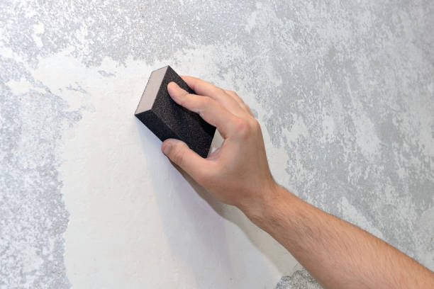 Best Mold Prevention Services  in Decatur, AL