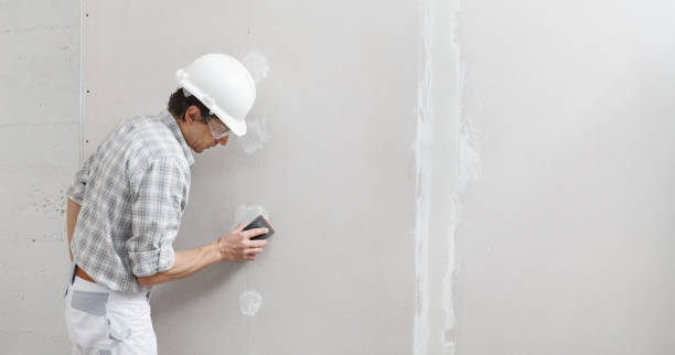 Best Mold Damage Restoration  in Decatur, AL