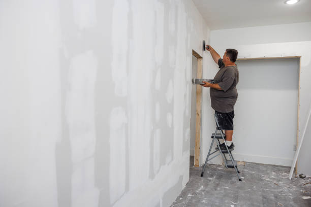 Best Basement Mold Removal  in Decatur, AL