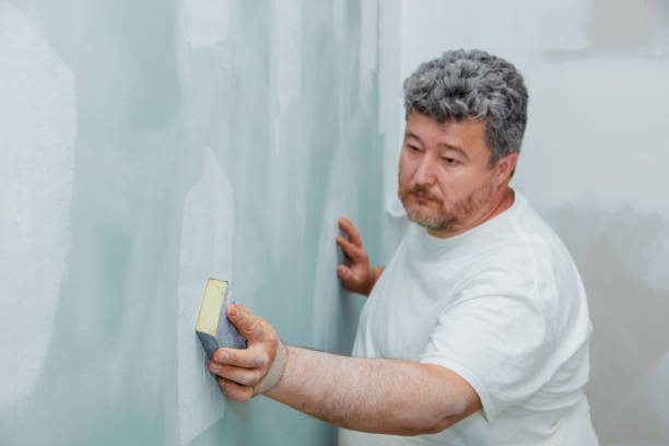 Best Basement Mold Removal  in Decatur, AL