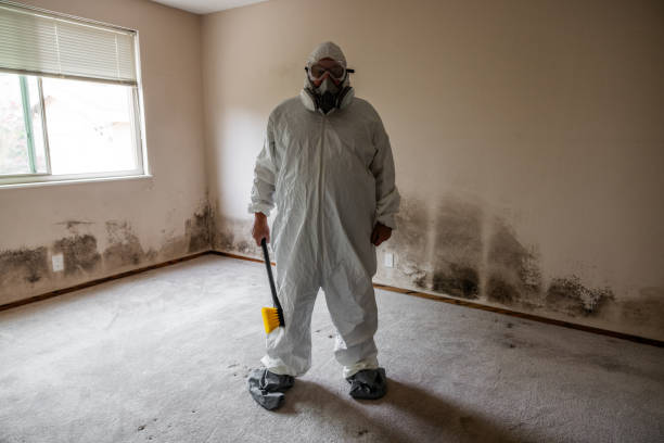 Best Industrial Mold Remediation  in Decatur, AL